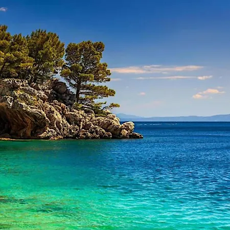 Villa Beachfront Ciovka *